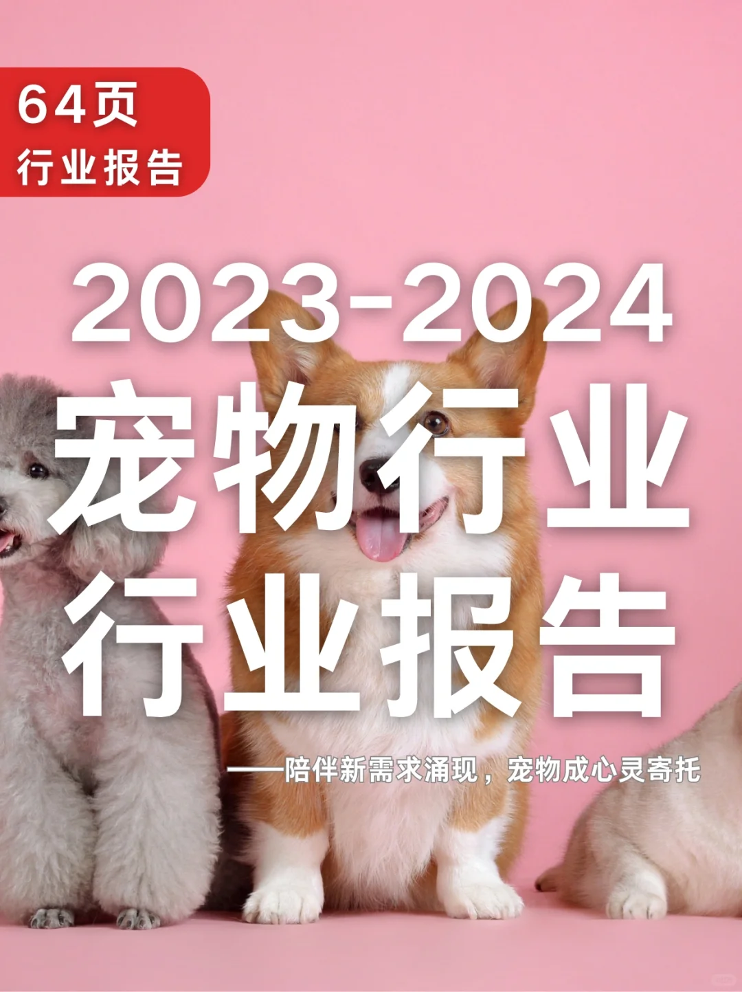 64页报告|2023-2024年宠物行业报告