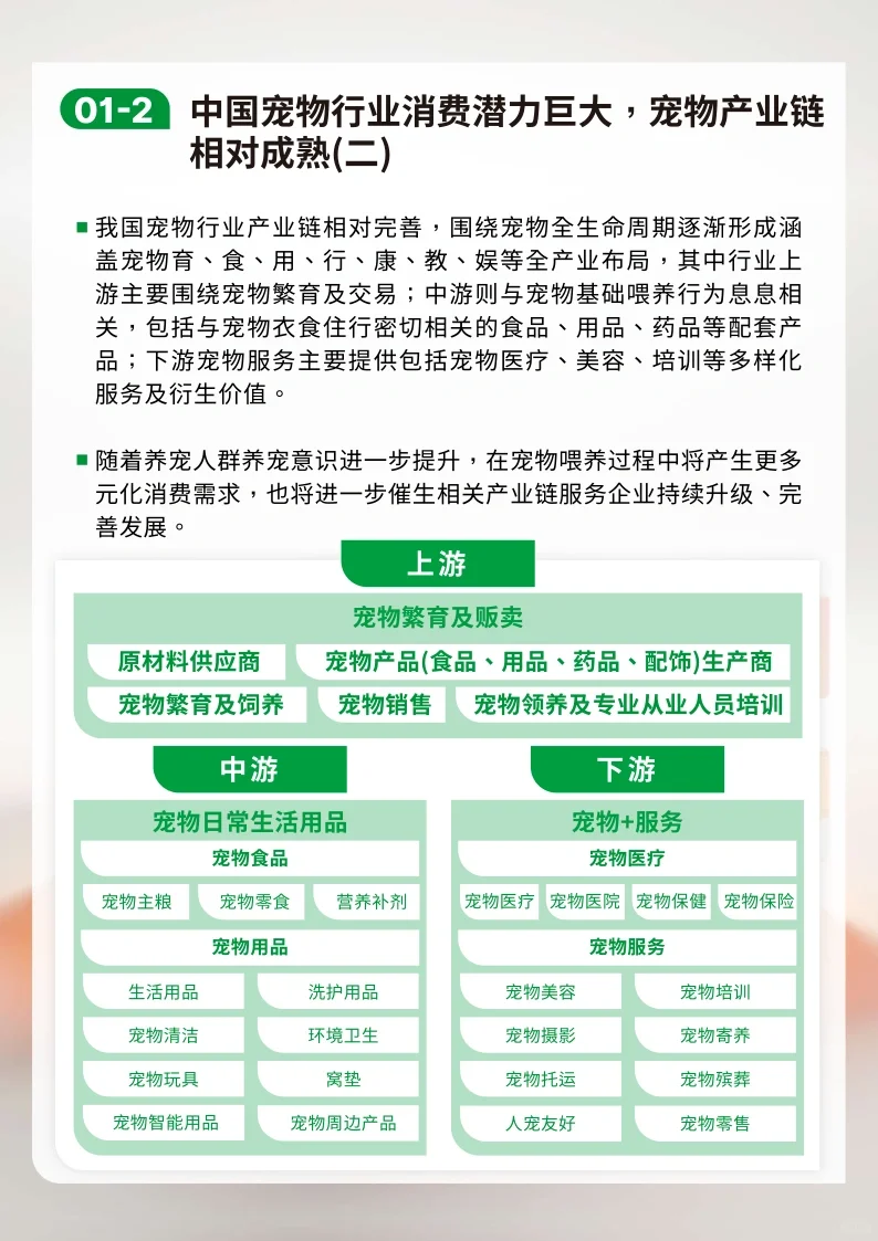 64页报告|2023-2024年宠物行业报告