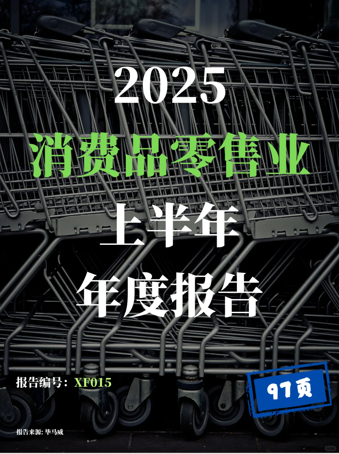2025上半年消费品零售业年度报告(重磅)