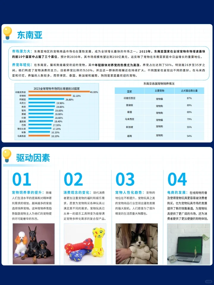 2024宠物玩具出海研究报告