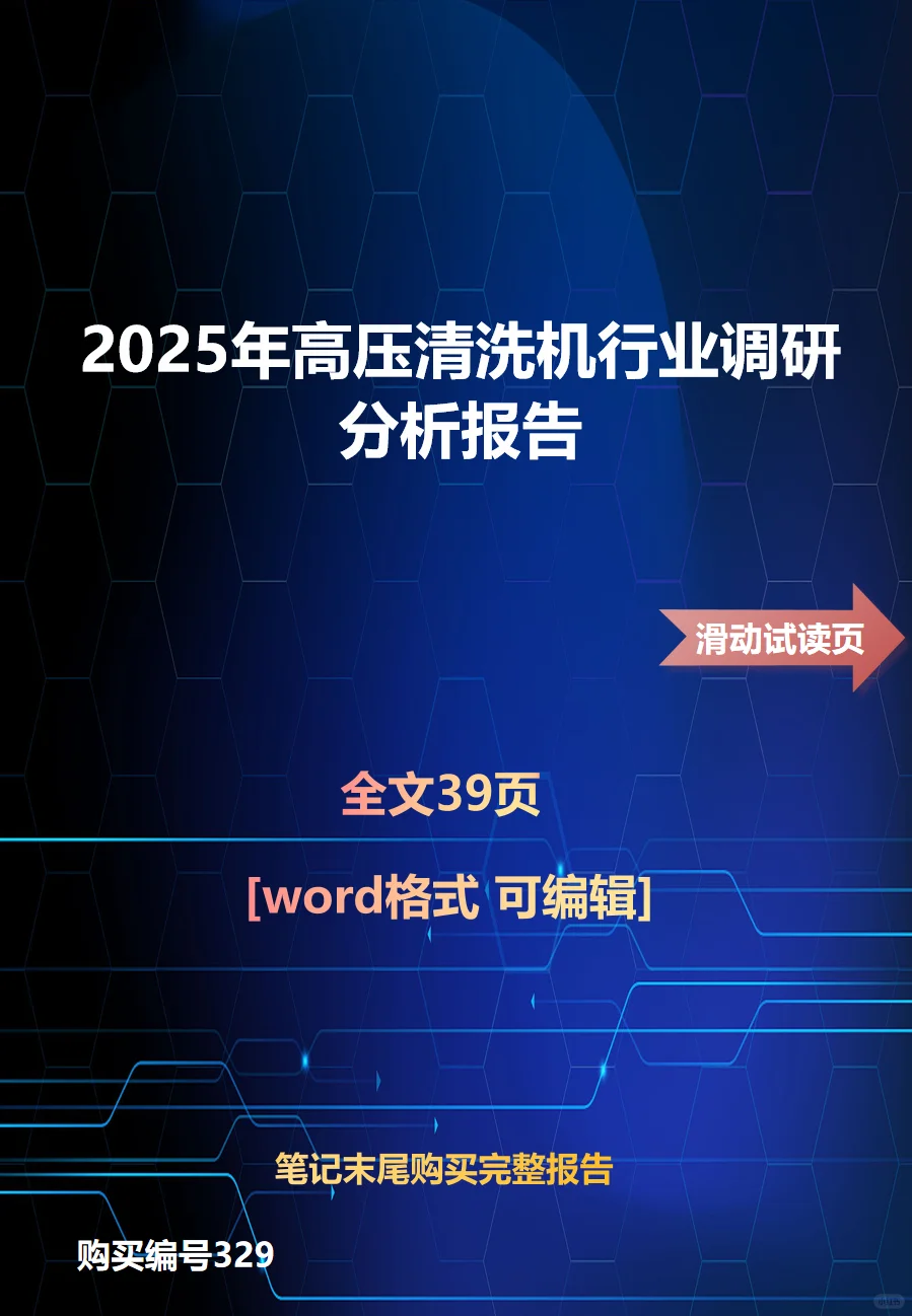 2025年高压清洗机行业调研分析报告