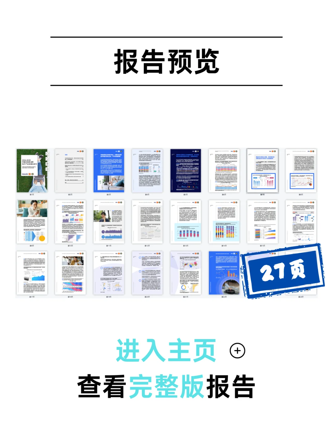 2024-2025科技类消费白皮书新鲜出炉