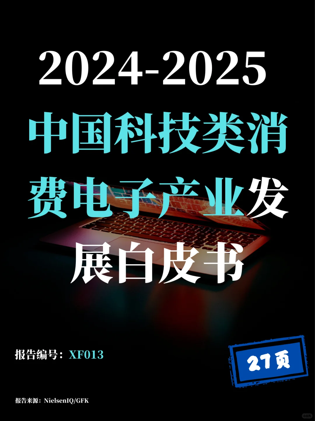 2024-2025科技类消费白皮书新鲜出炉