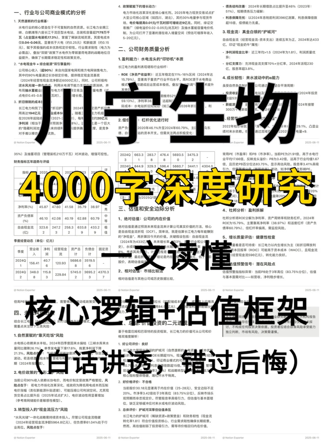 川宁生物 4000 字深度研报