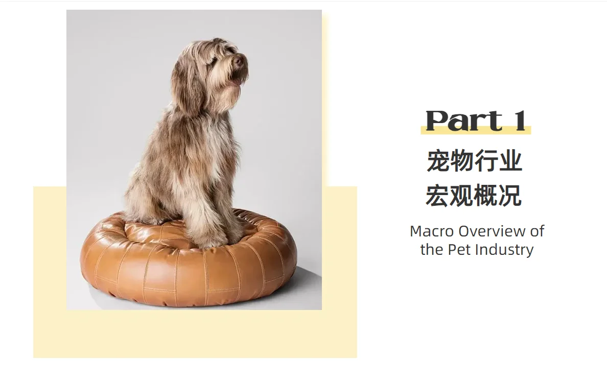 2026年宠物行业洞察