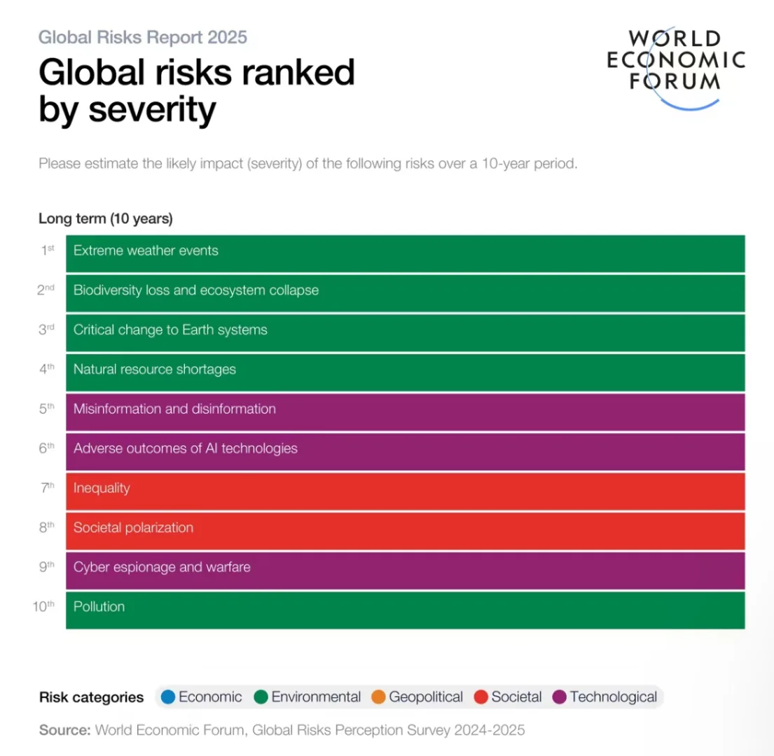 世界经济论坛发布2025年全球风险报告