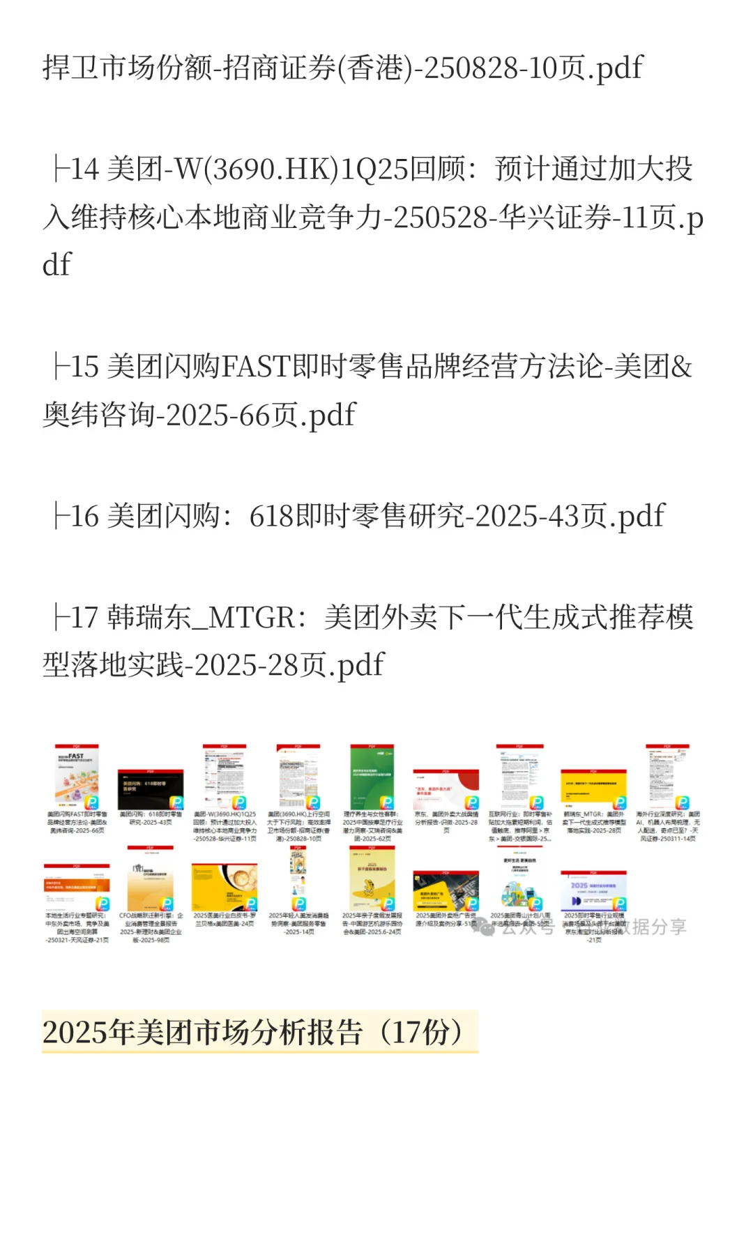 2025年美团市场分析报告（17份）