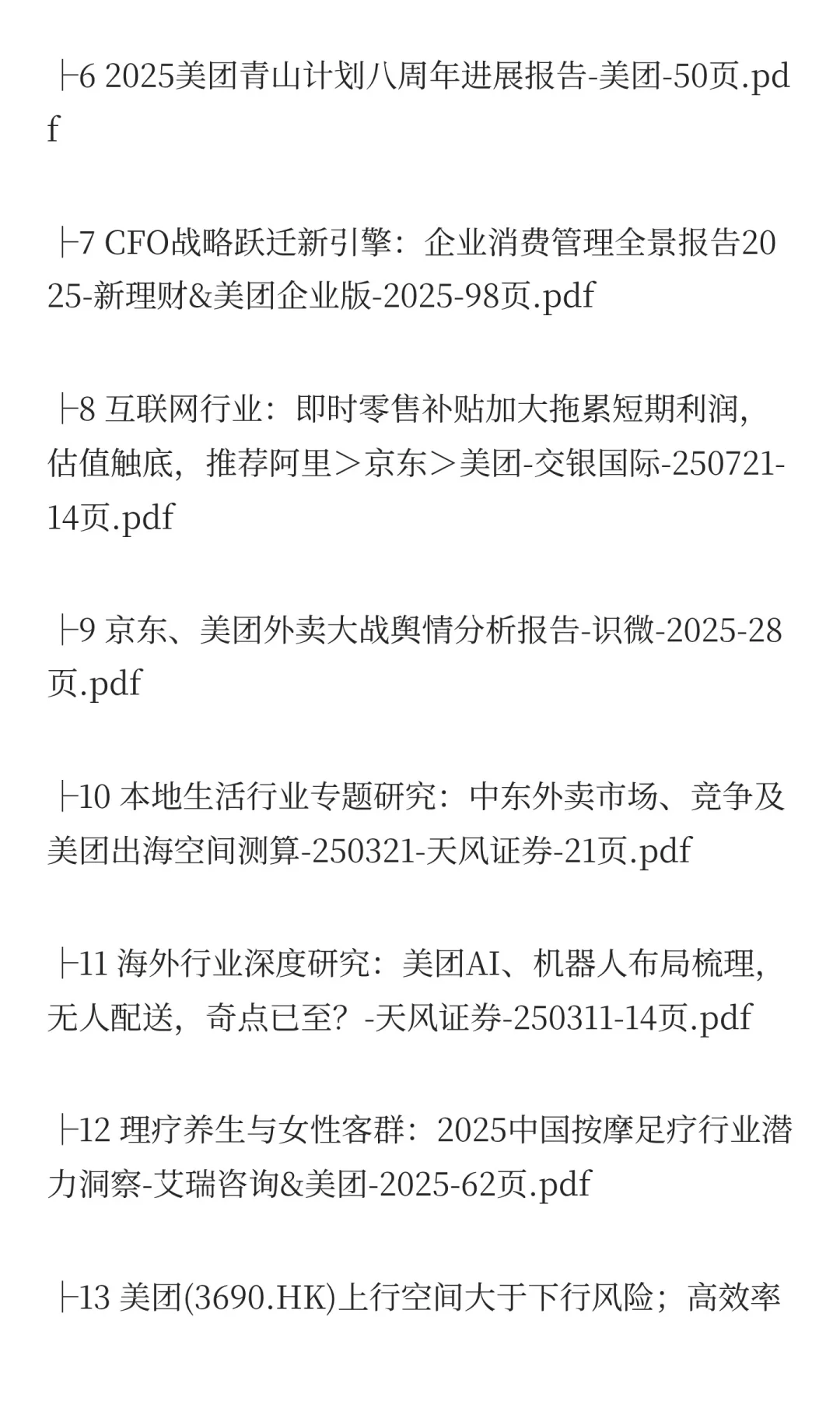 2025年美团市场分析报告（17份）