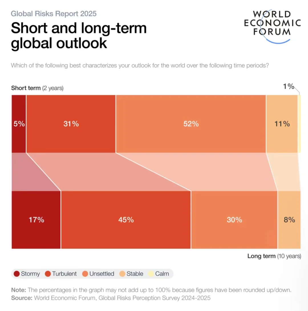 世界经济论坛发布2025年全球风险报告