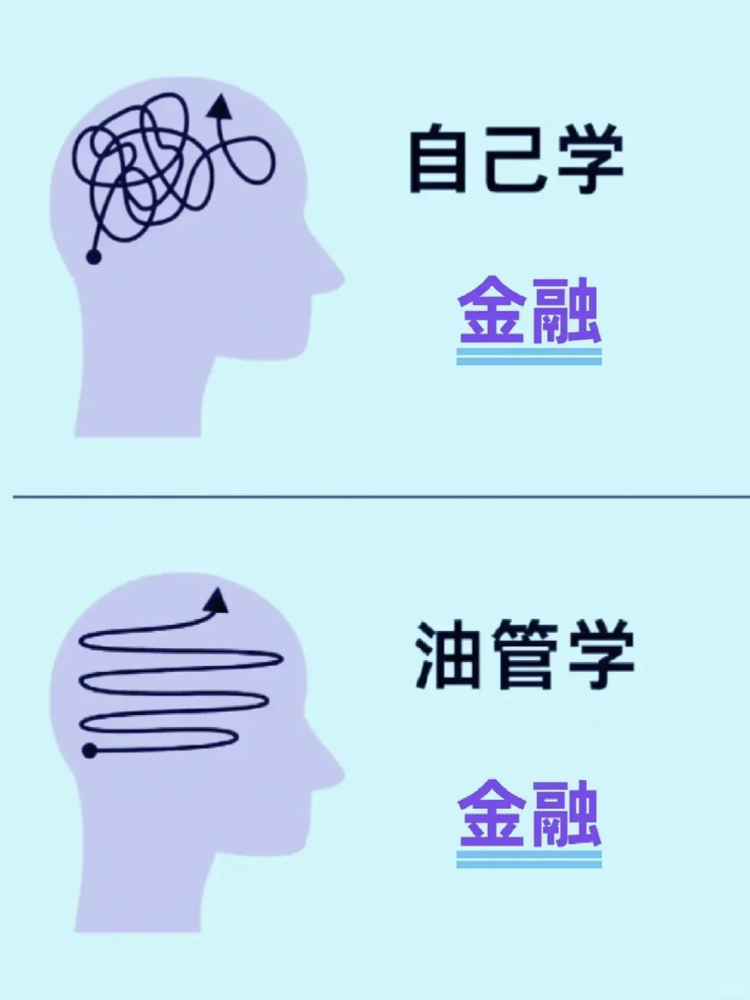 建议大家都去YouTube上学金融很卷但很绝~