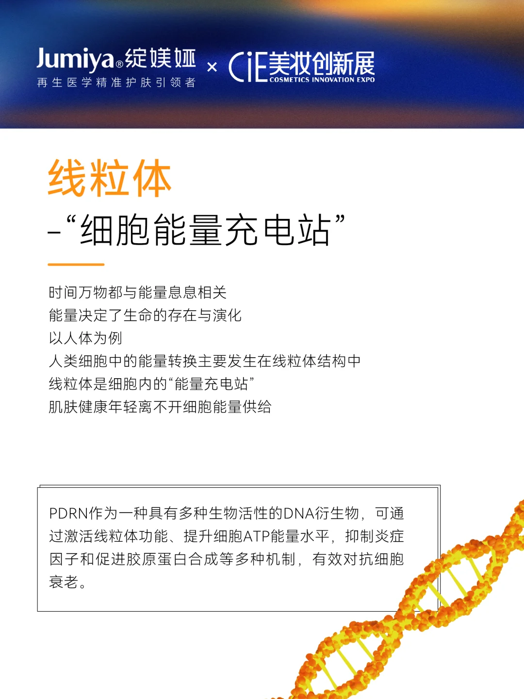 C位精华 超能路透