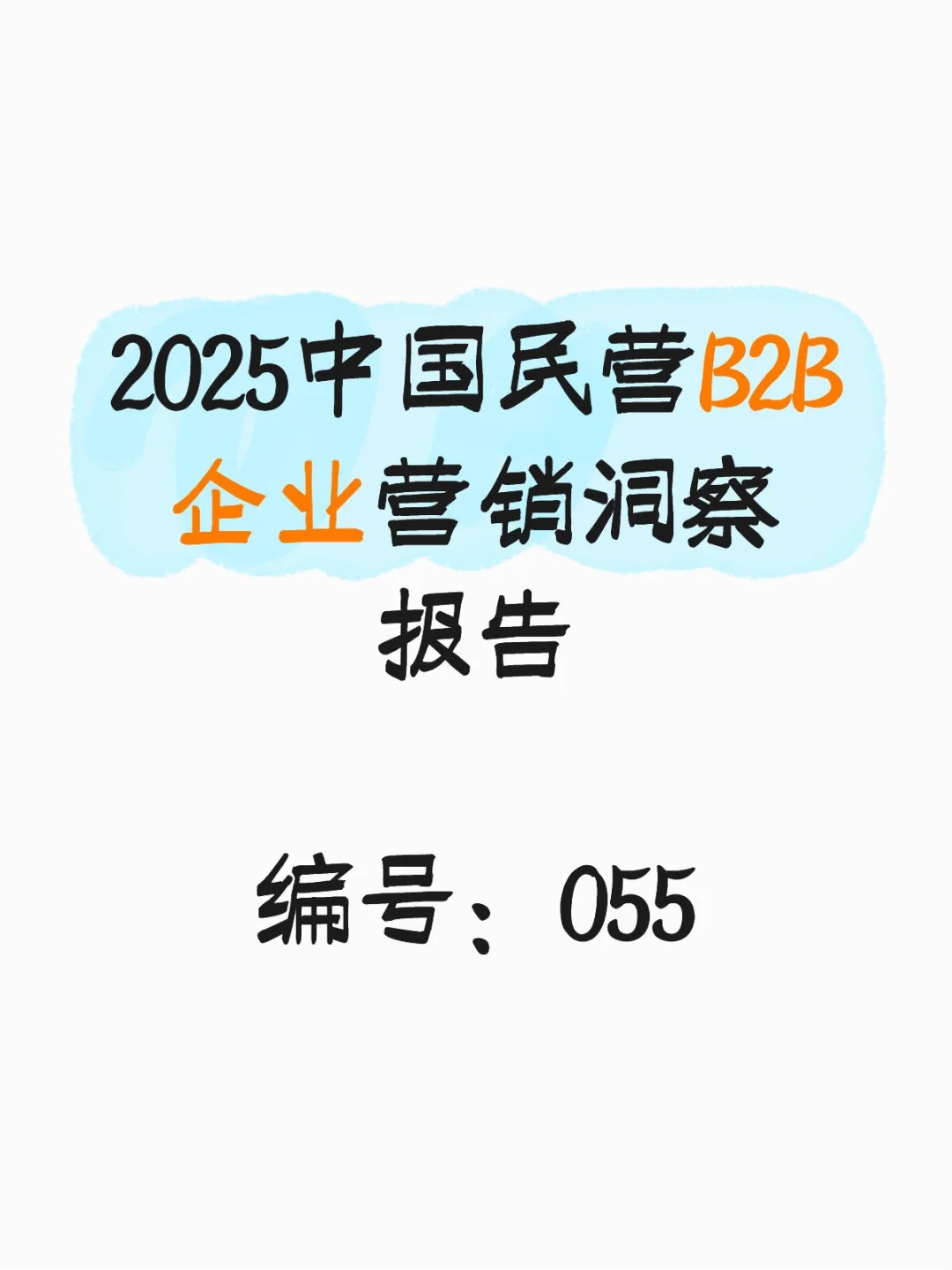 行业报告-中国民营B2B企业营销洞察报告