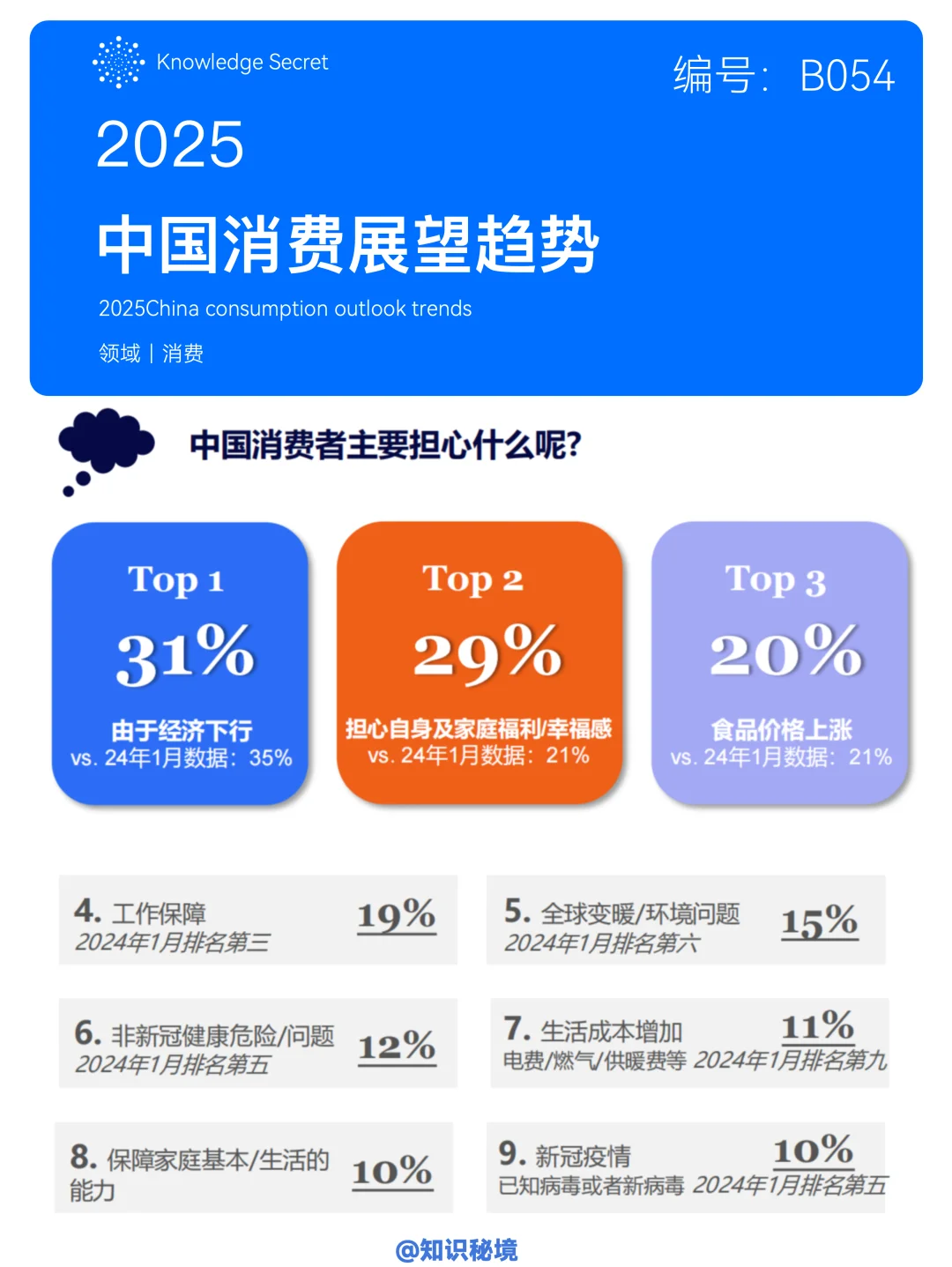 2025中国消费趋势展望