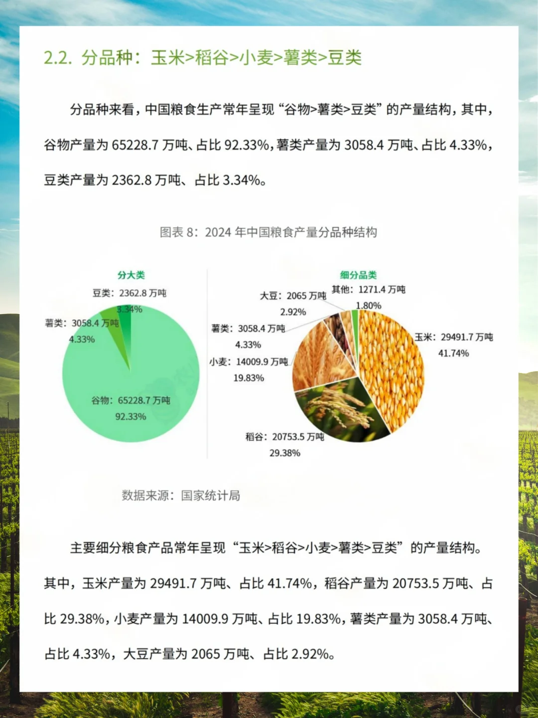 2025年中国农业情况报告