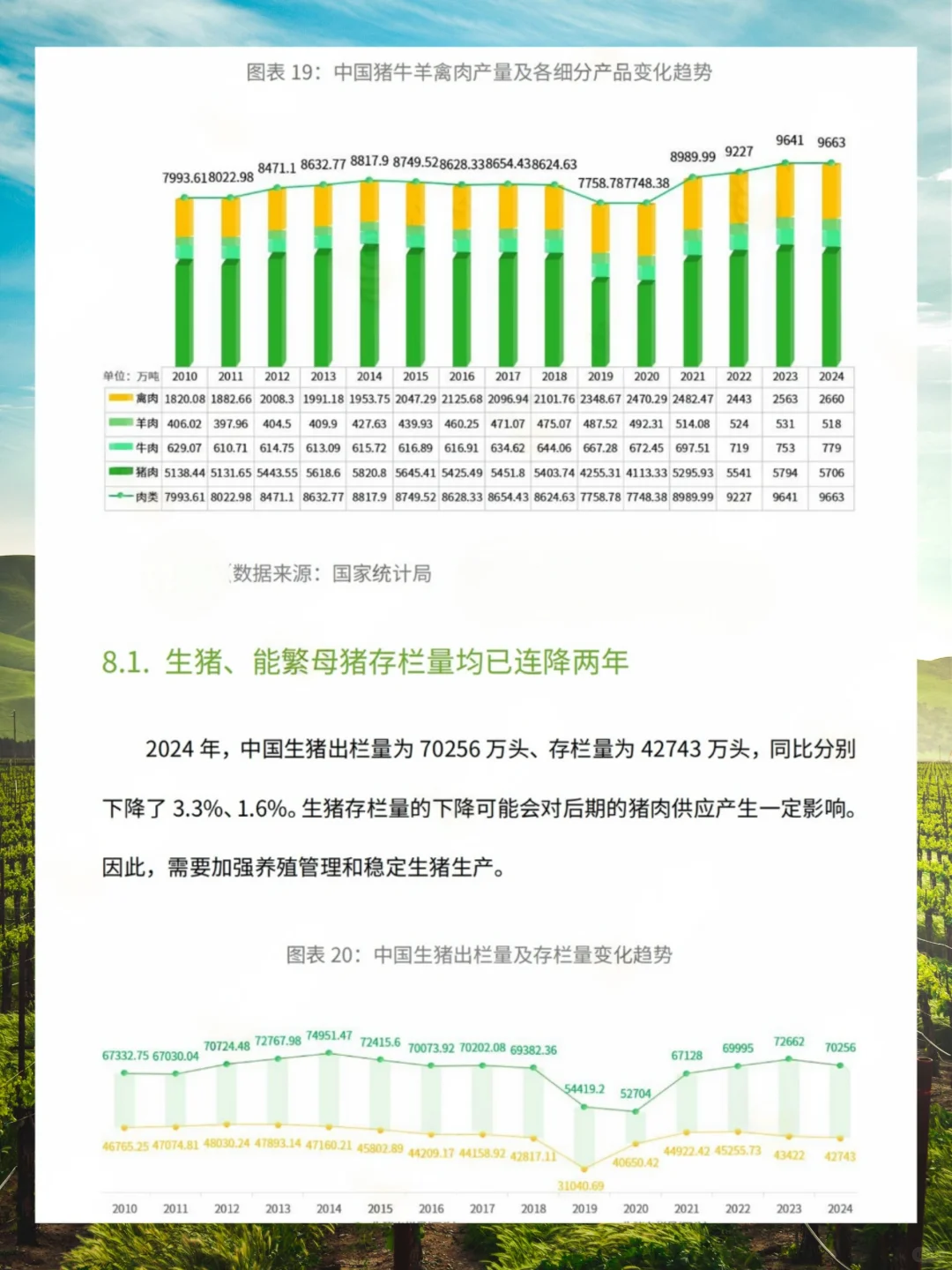 2025年中国农业情况报告