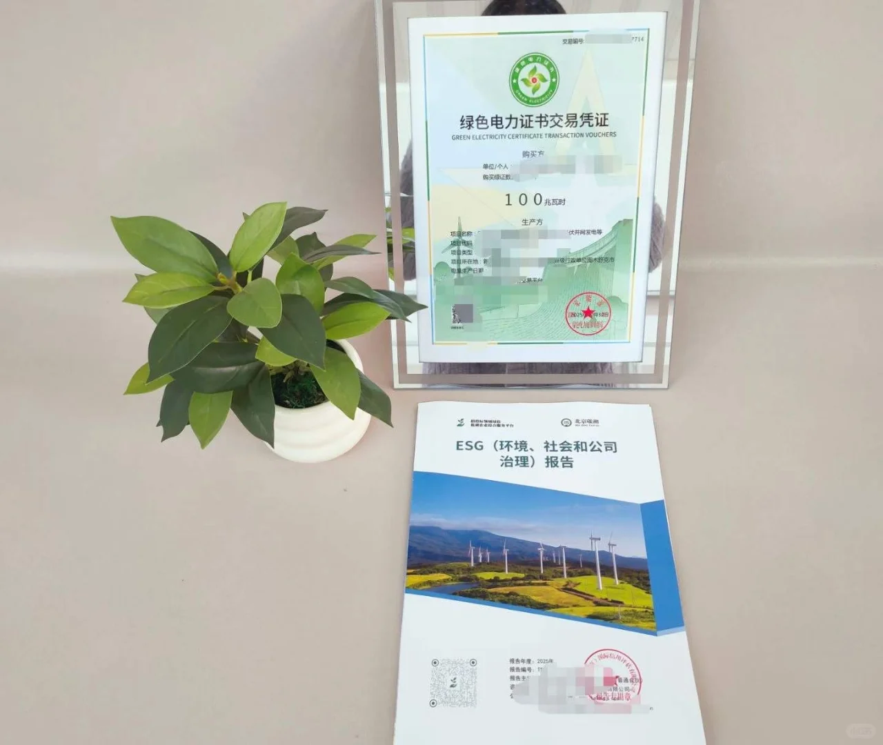 🧐为什么要做绿色报告❓