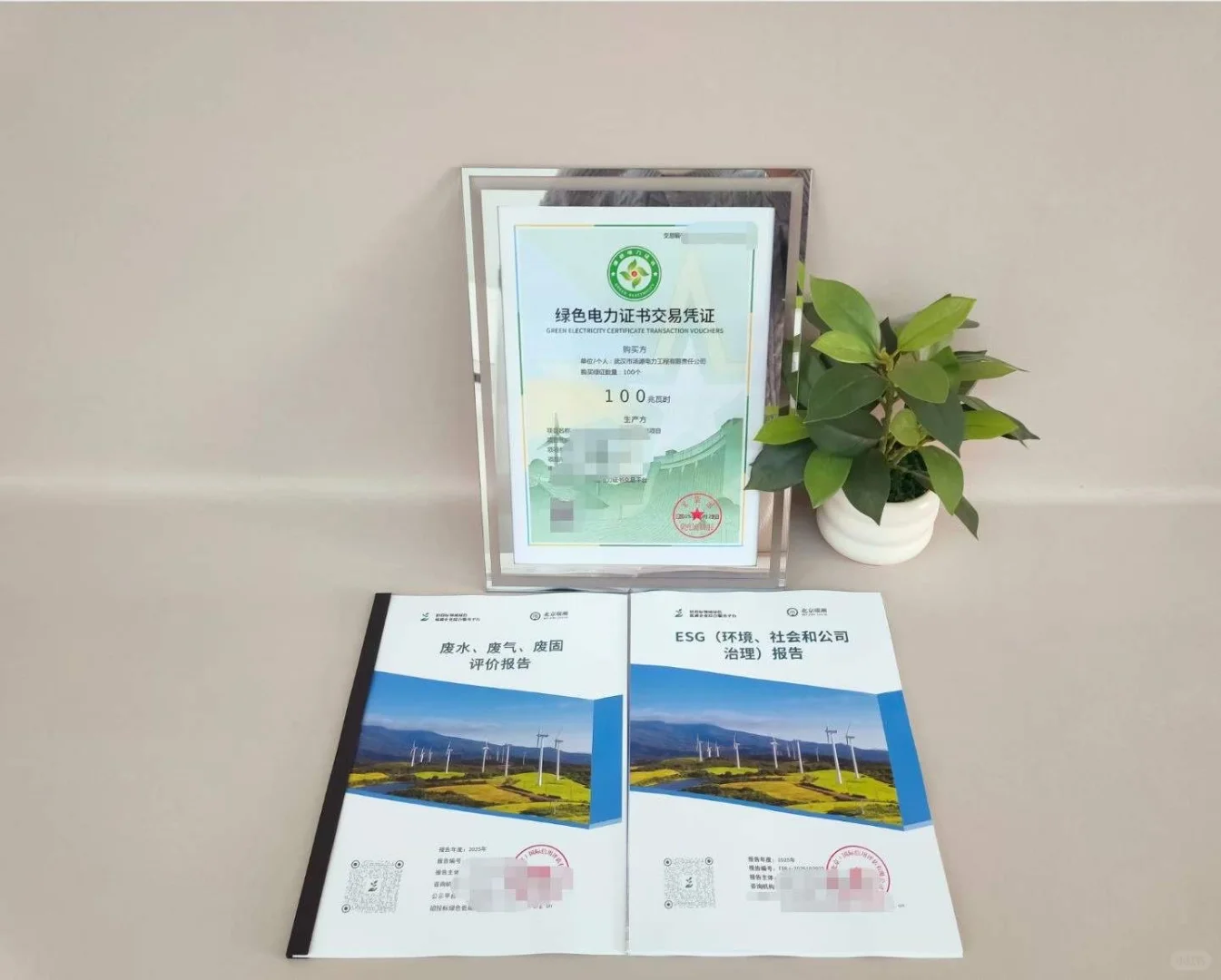 🧐为什么要做绿色报告❓