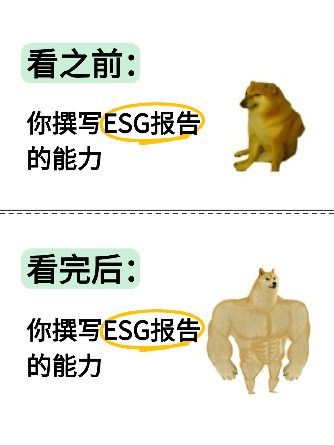 看完这些，撰写ESG报告水平已经next level
