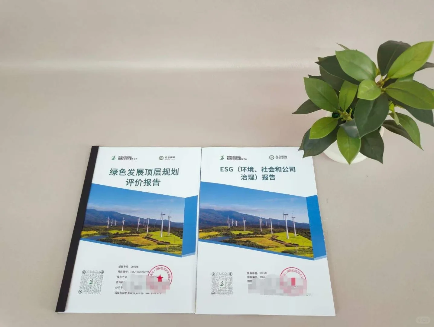 🧐为什么要做绿色报告❓