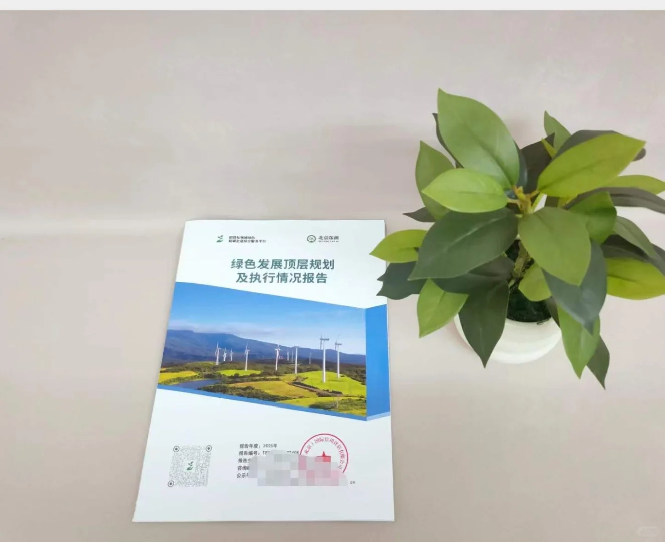 🧐为什么要做绿色报告❓