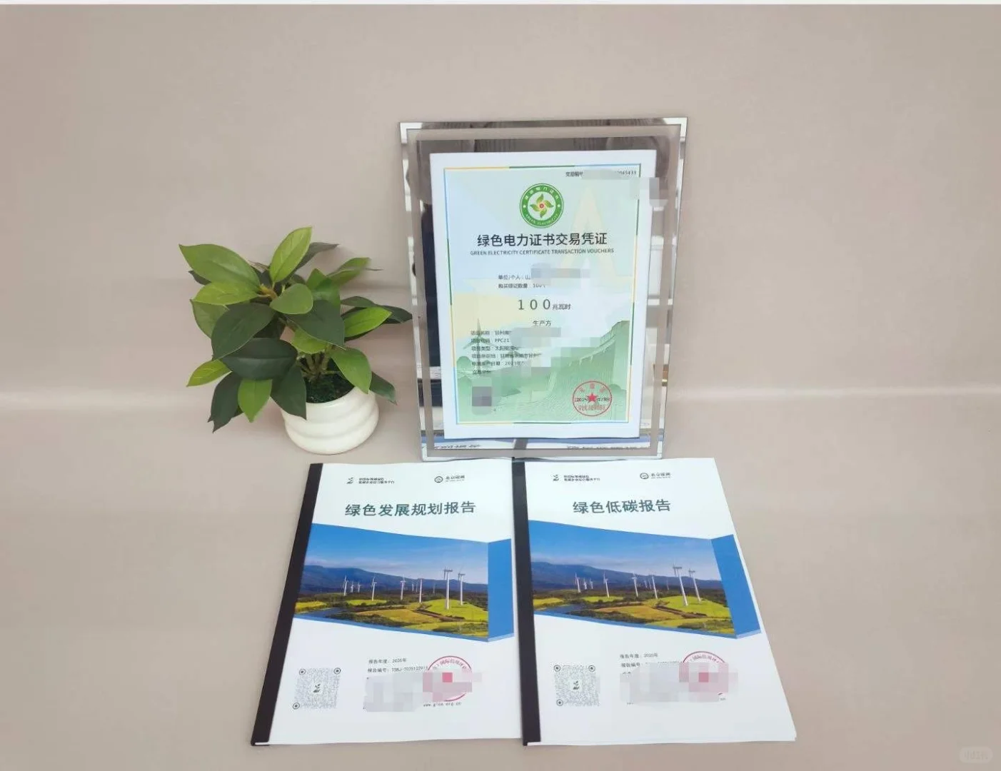 🧐为什么要做绿色报告❓