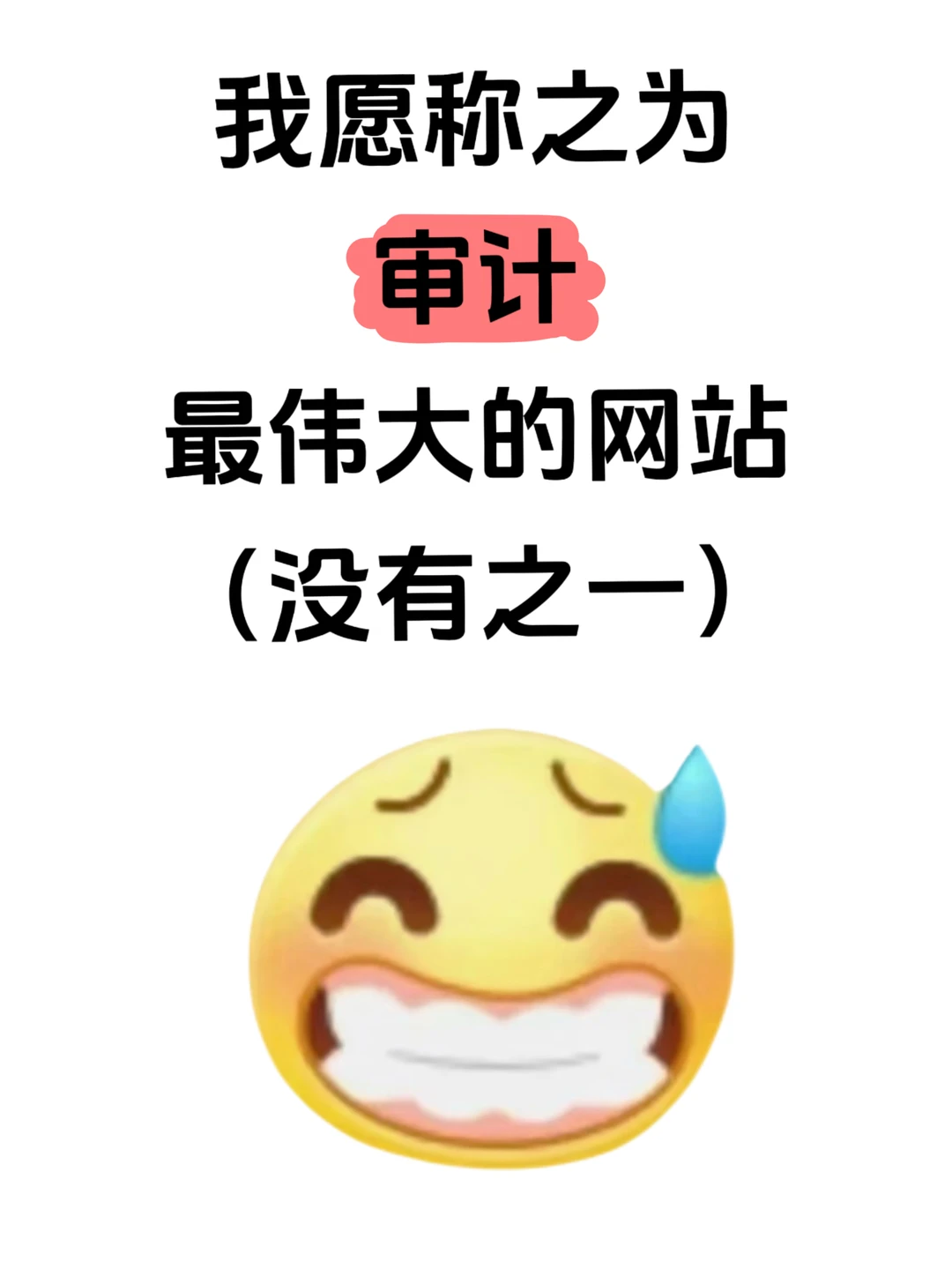 我愿称之为审计蕞伟大的网站！！