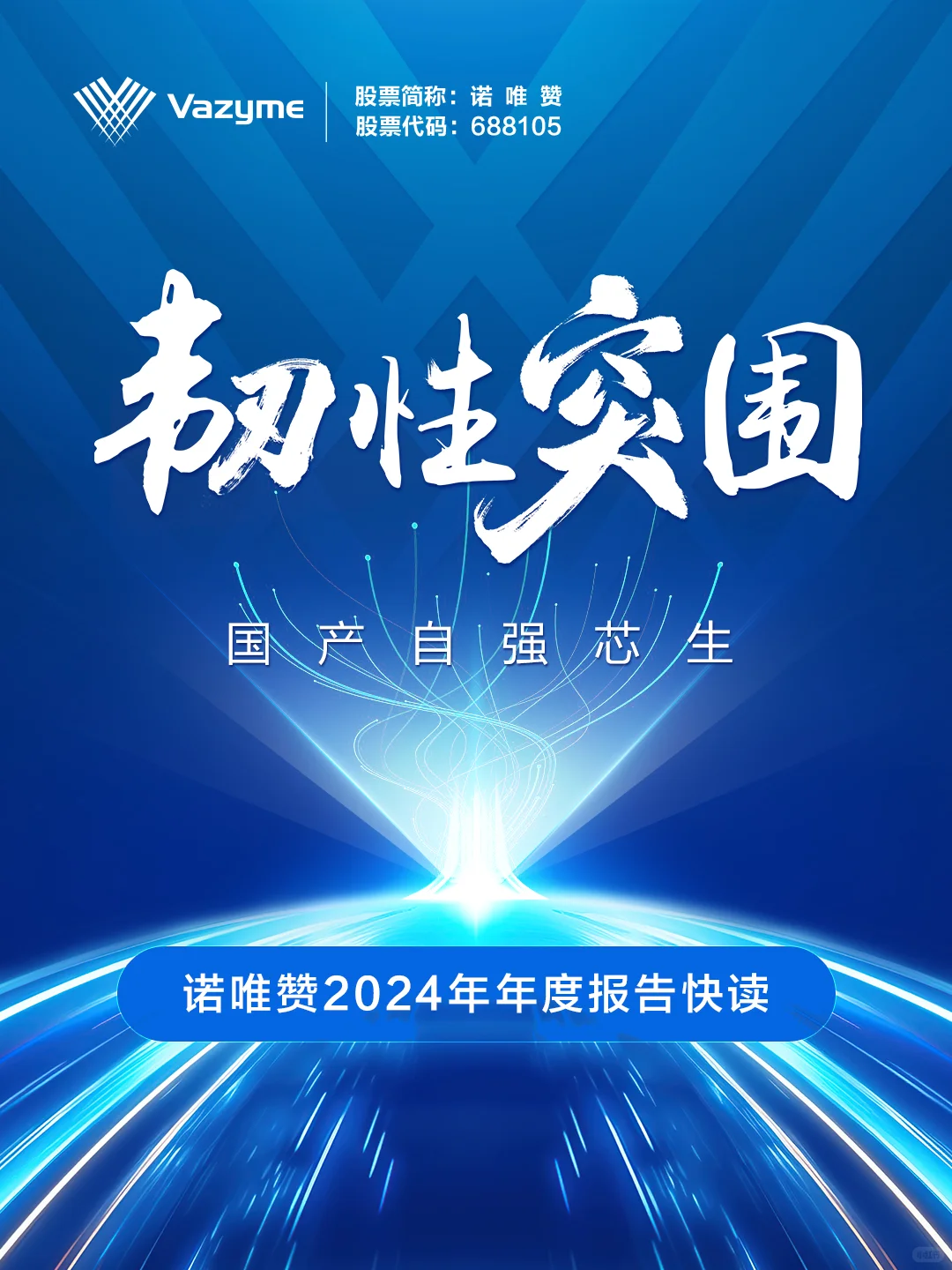 N图读懂诺唯赞2024年年度报告