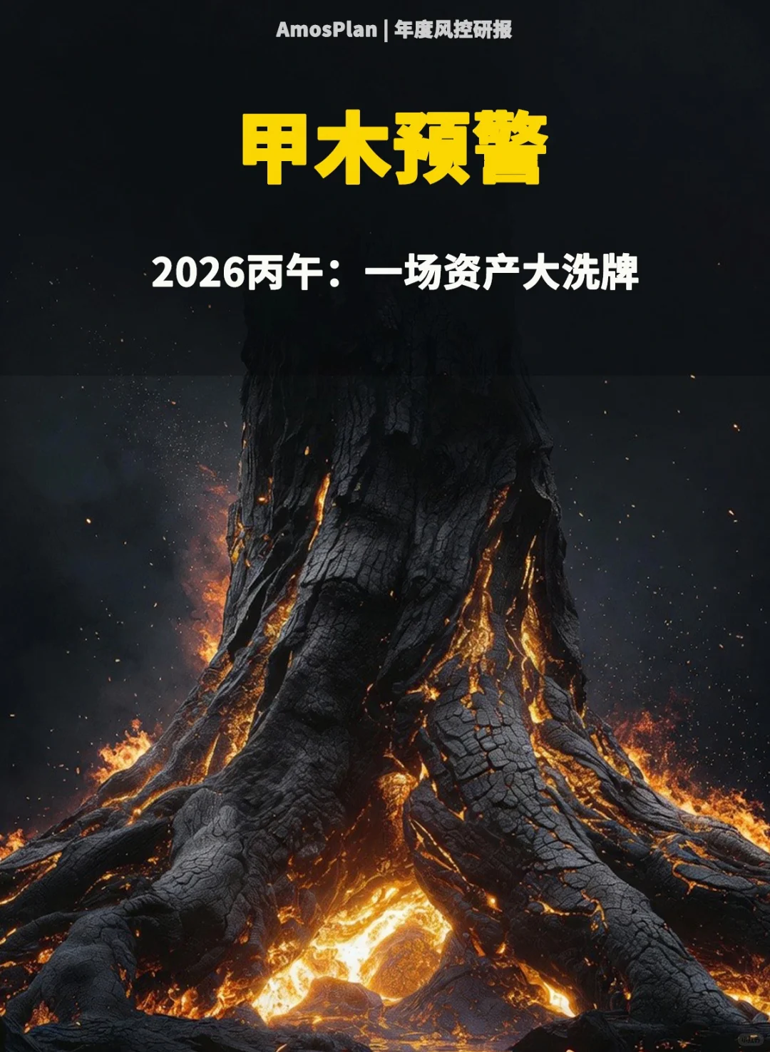 甲木的2026:是消耗战,还是护城河?