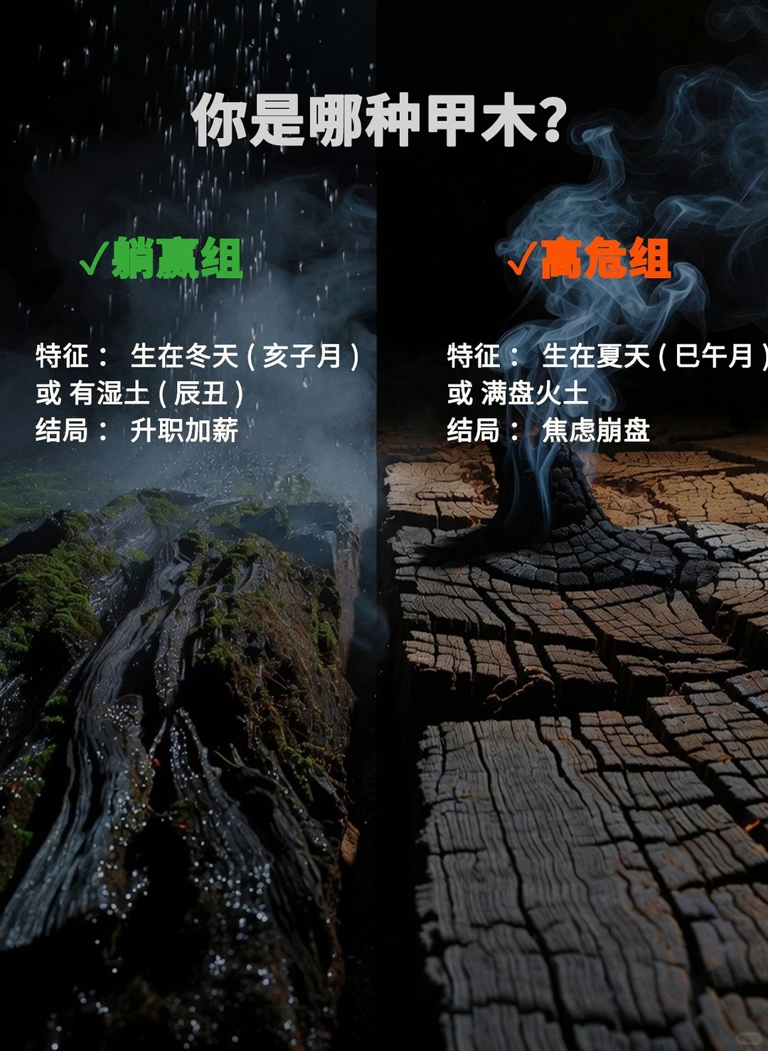 甲木的2026:是消耗战,还是护城河?