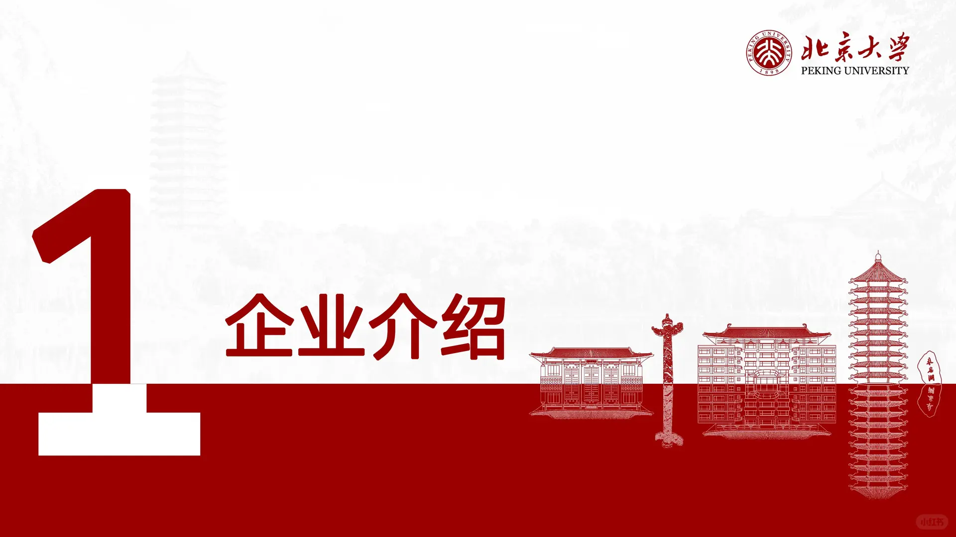 北大投资学小组调研分享：润泽科技（一）