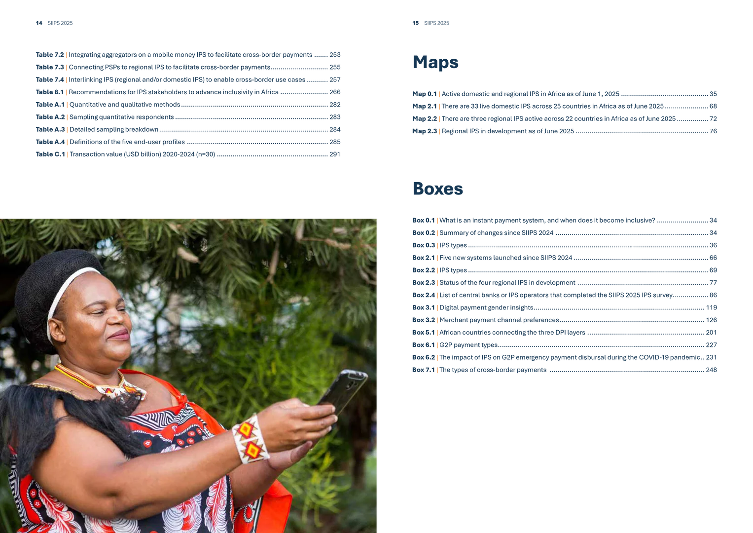 包容性即时支付系统SIIPS2025年现状报告