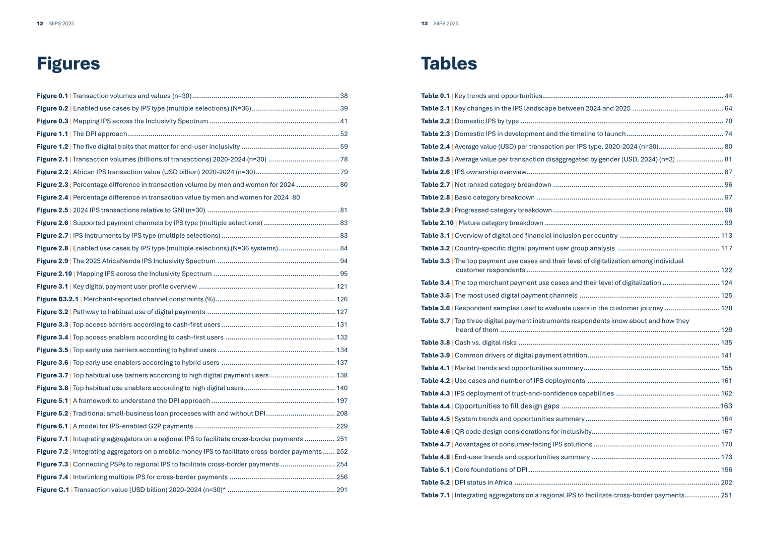 包容性即时支付系统SIIPS2025年现状报告