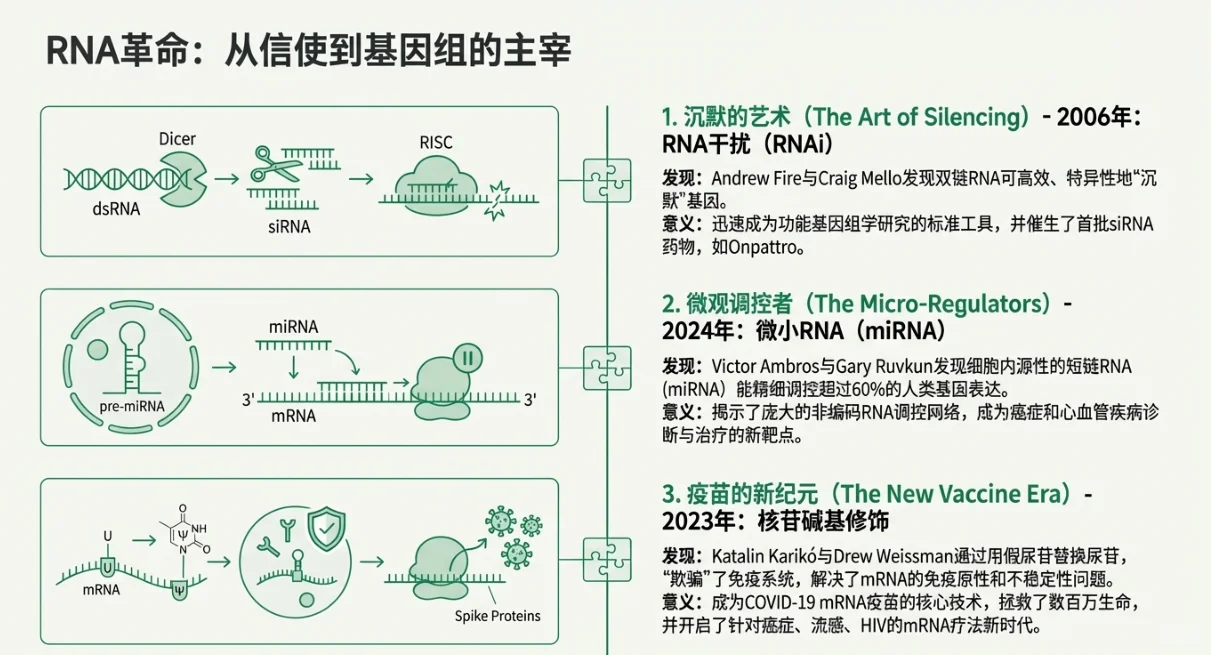 一篇通关！20年生物医学诺奖深度复盘