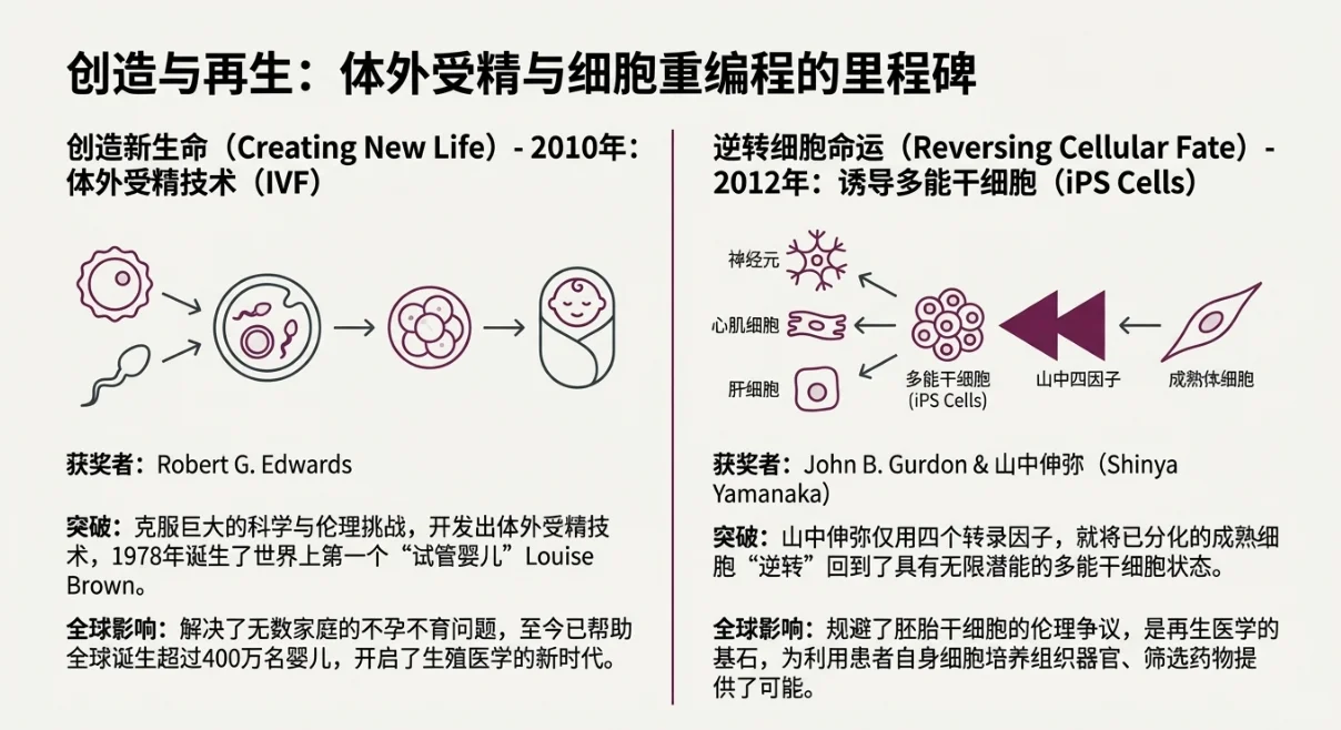 一篇通关！20年生物医学诺奖深度复盘