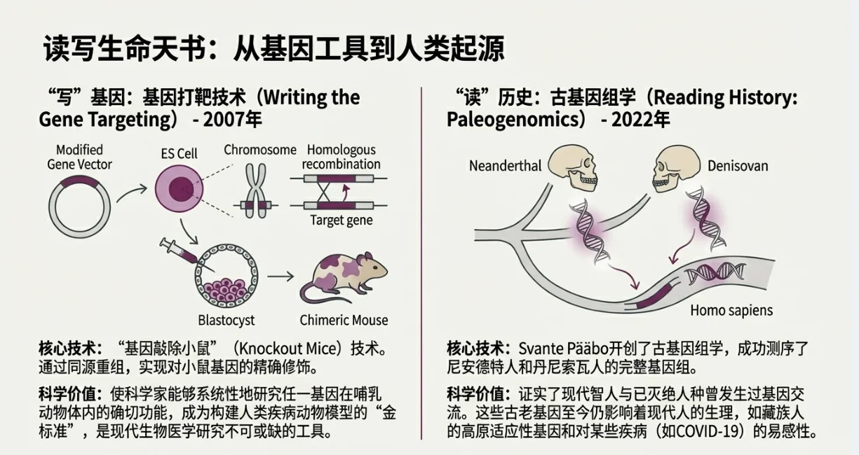 一篇通关！20年生物医学诺奖深度复盘