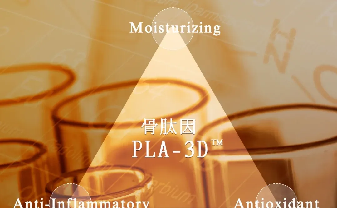 枫缇创新研究成果荣登权威学术期刊‼️