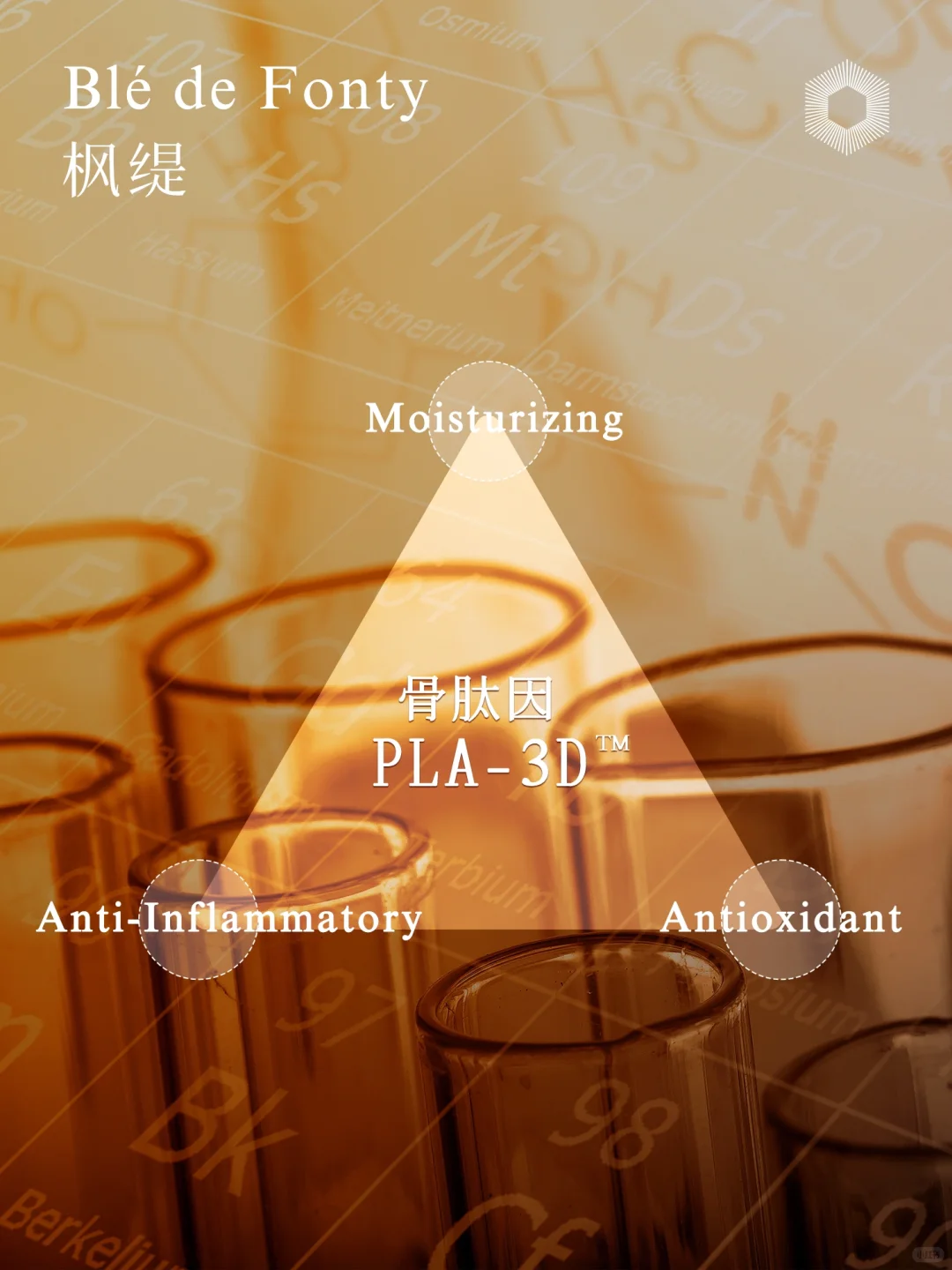 枫缇创新研究成果荣登权威学术期刊‼️