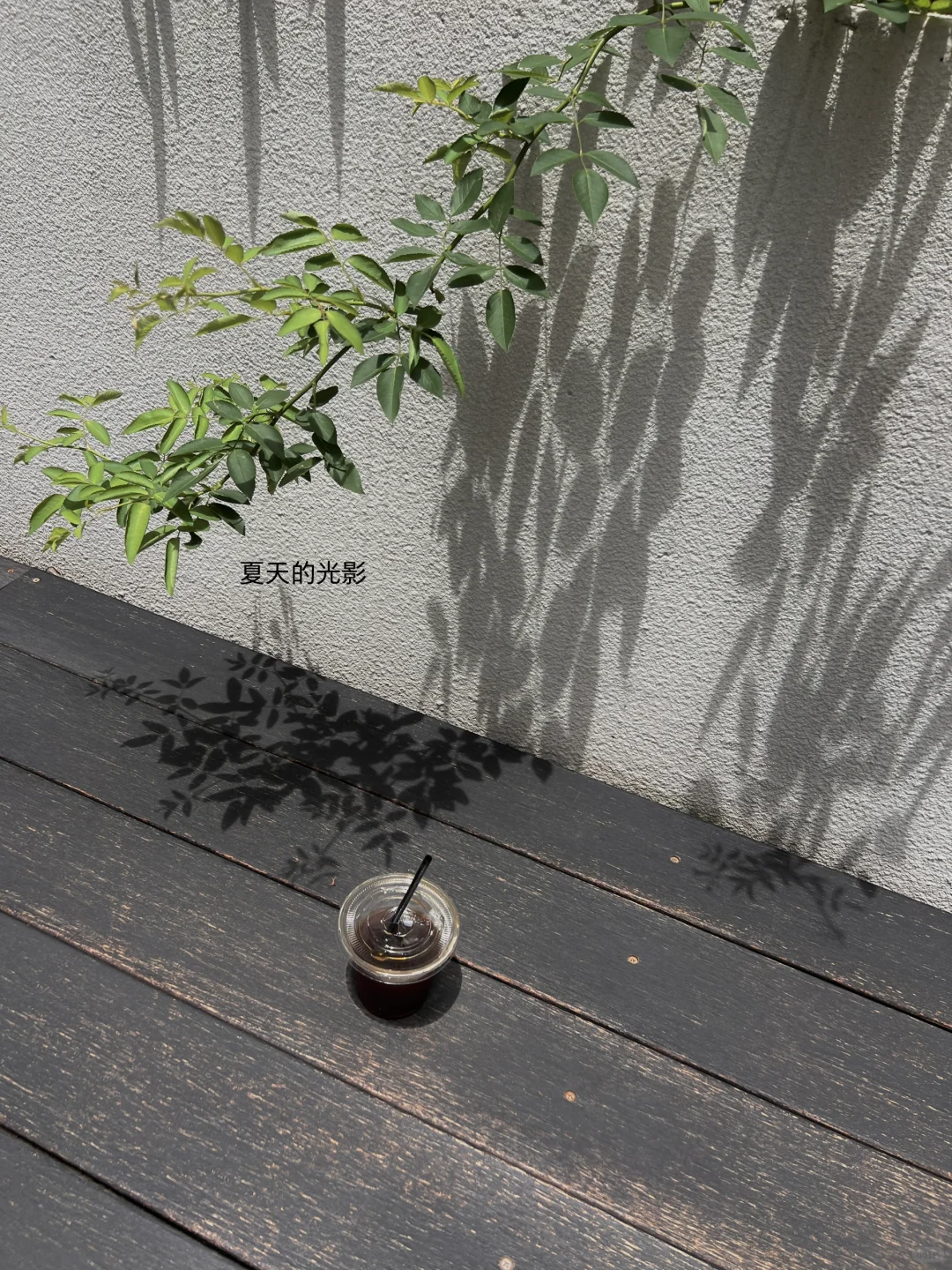把夏天穿在身上🌼🍃
