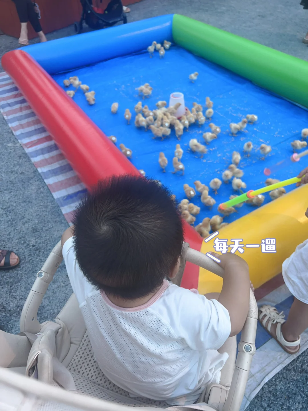 新人博主Day4｜掏心窝子聊聊这些天的挣扎