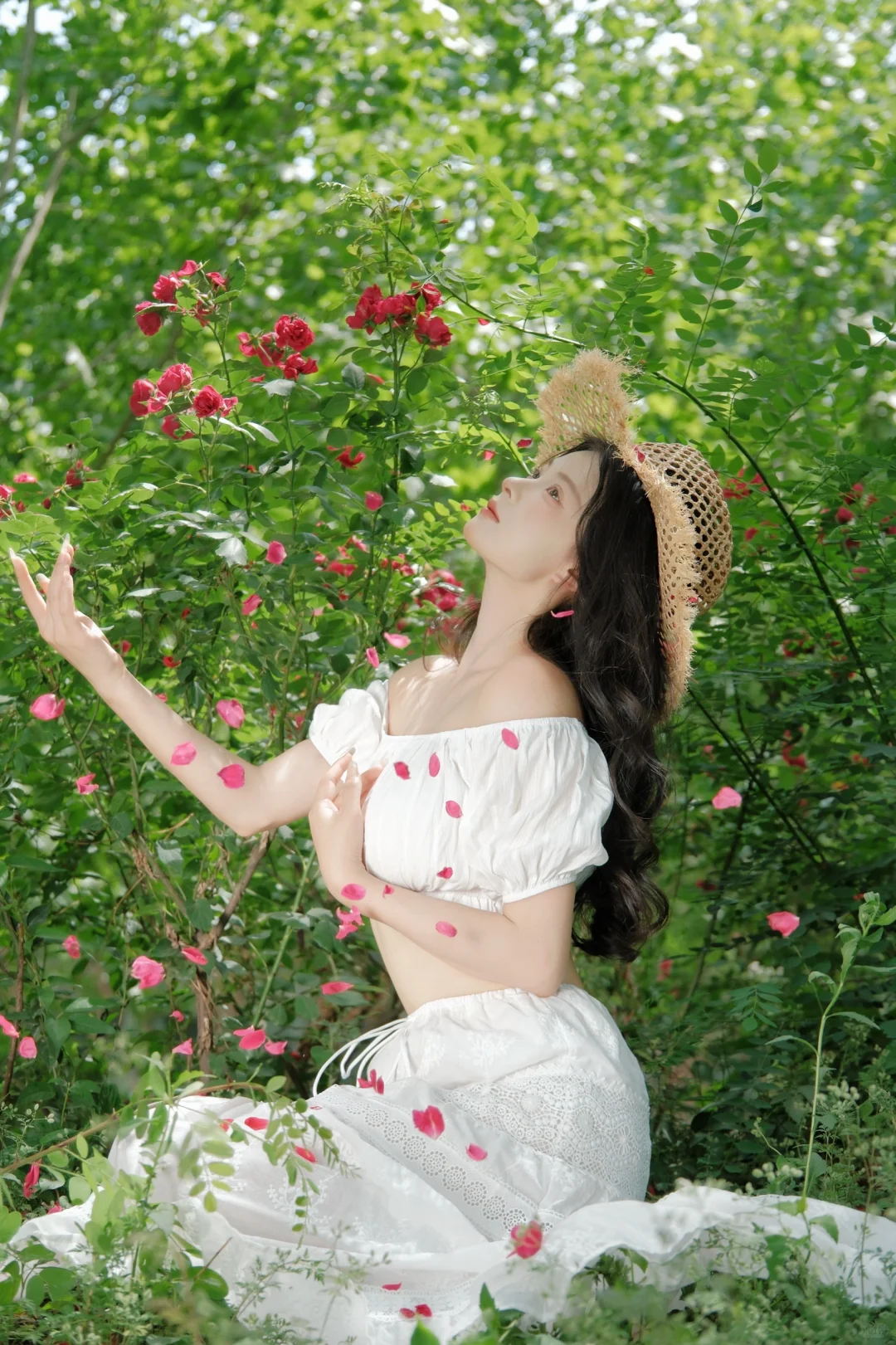 “在盛夏的尾巴上 我们做了一场梦”