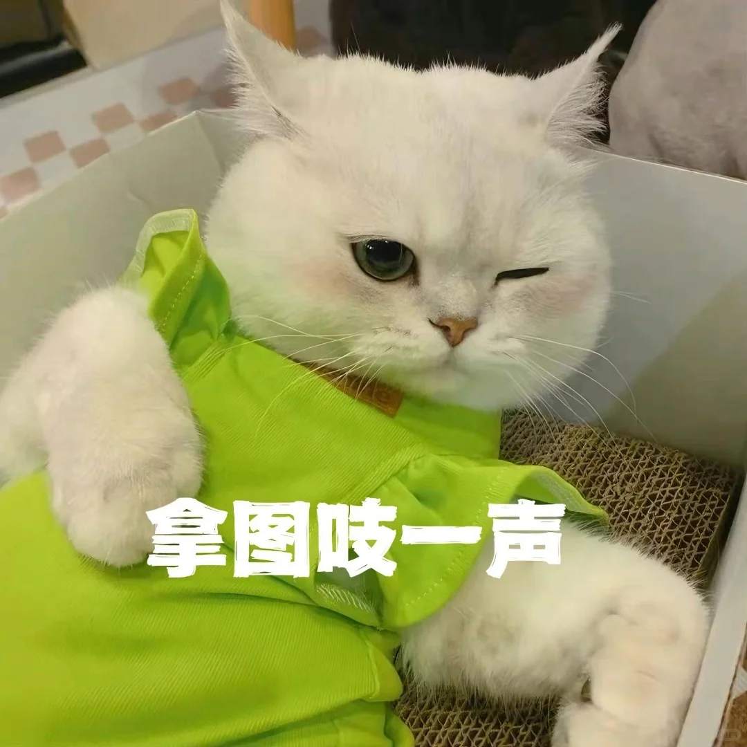 看了就会上头的女头像 •͈ᴗ•͈♡ 🐈