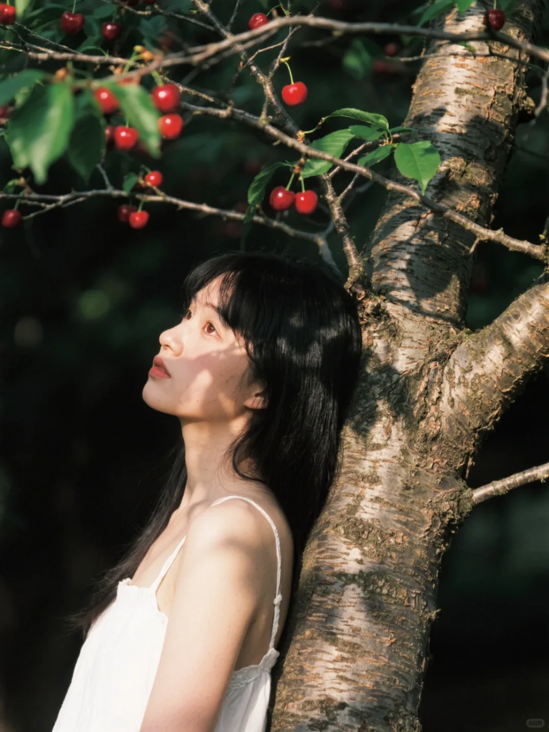 吃樱桃的夏天真的太好拍啦