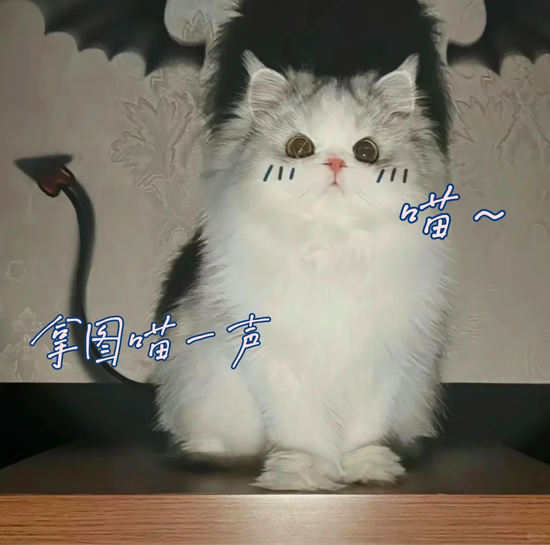 敲好看鸭~૮₍◜ෆ◝.₎ა