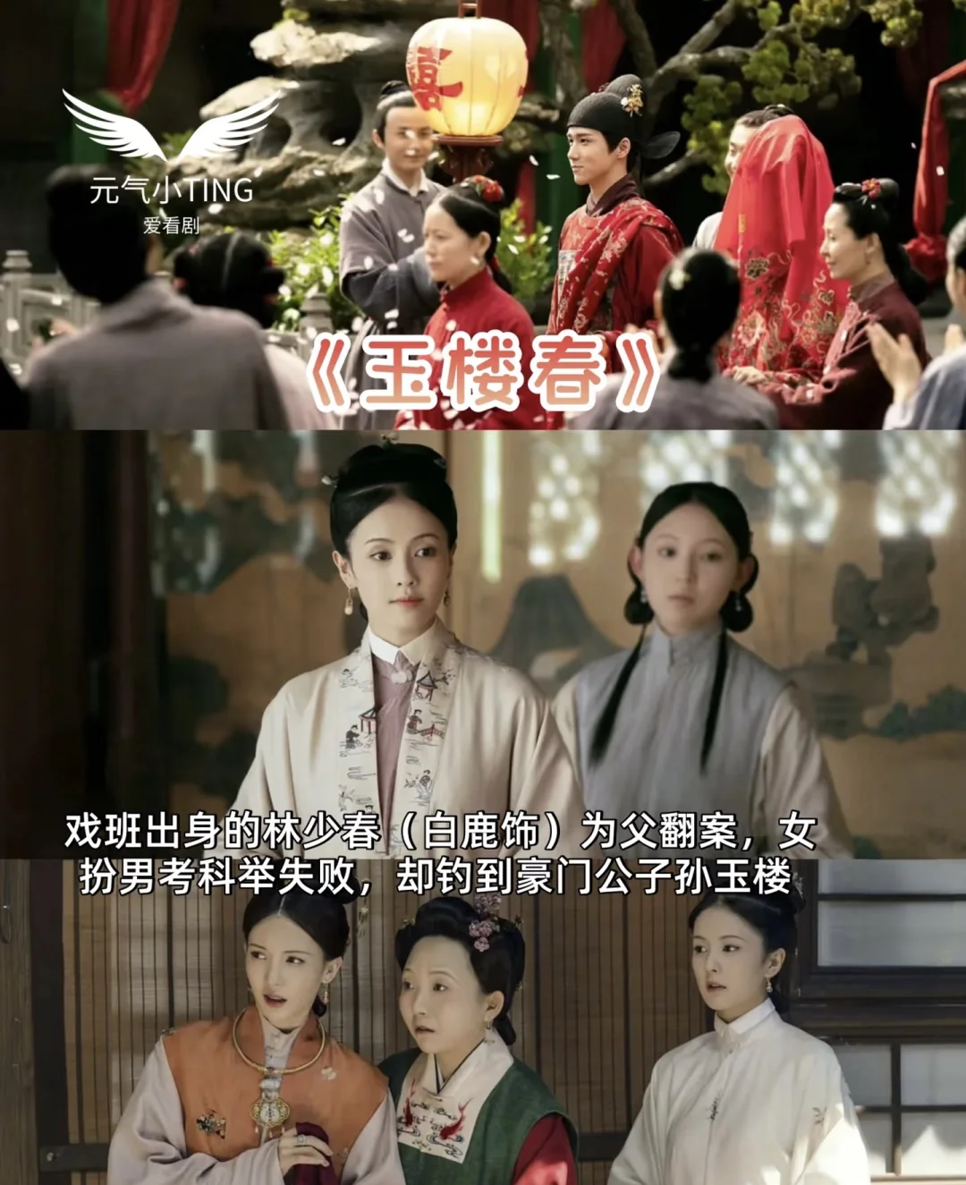 6部古装轻喜剧！下饭剧一口气刷完笑疯🤣 真