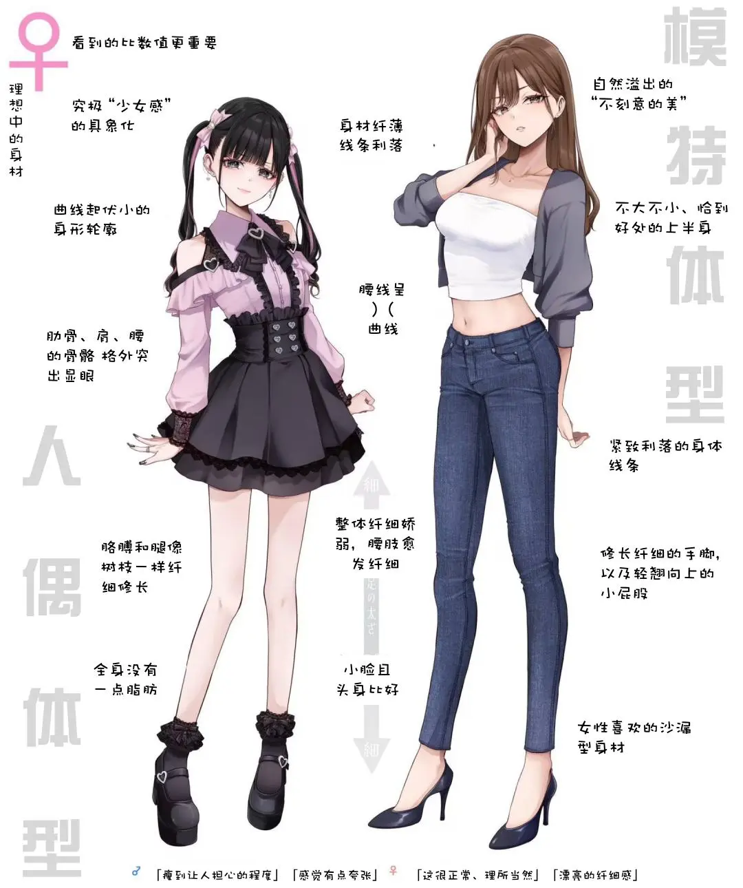 不同性别心中的女性理想身材