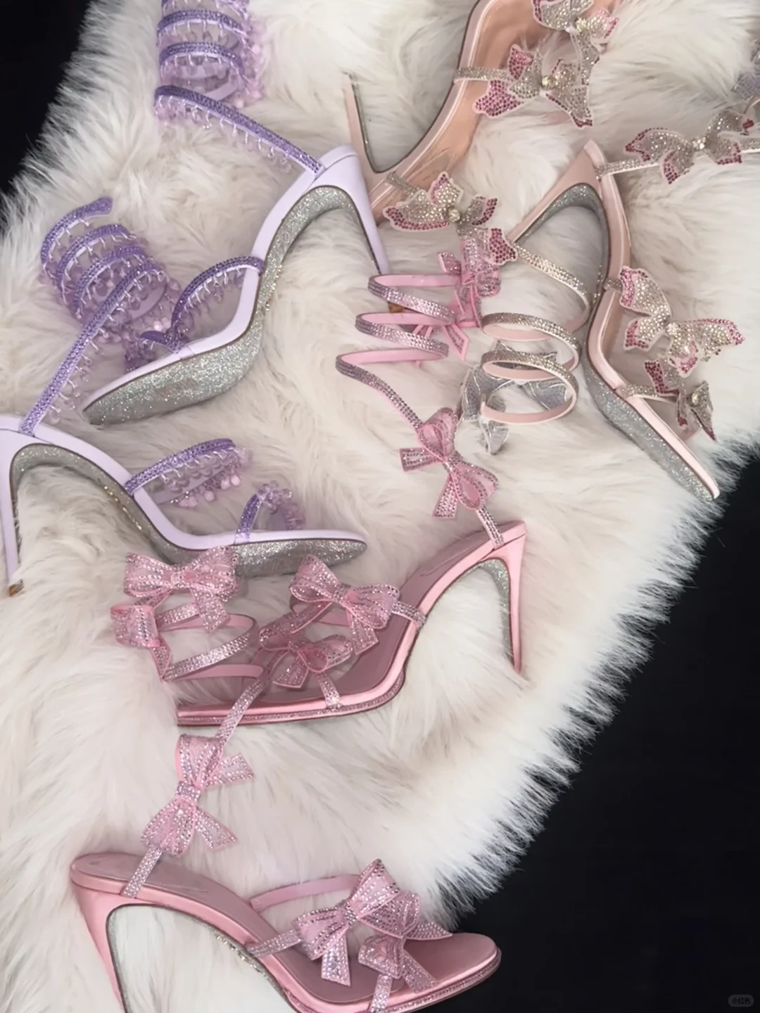 heels 我的美鞋们