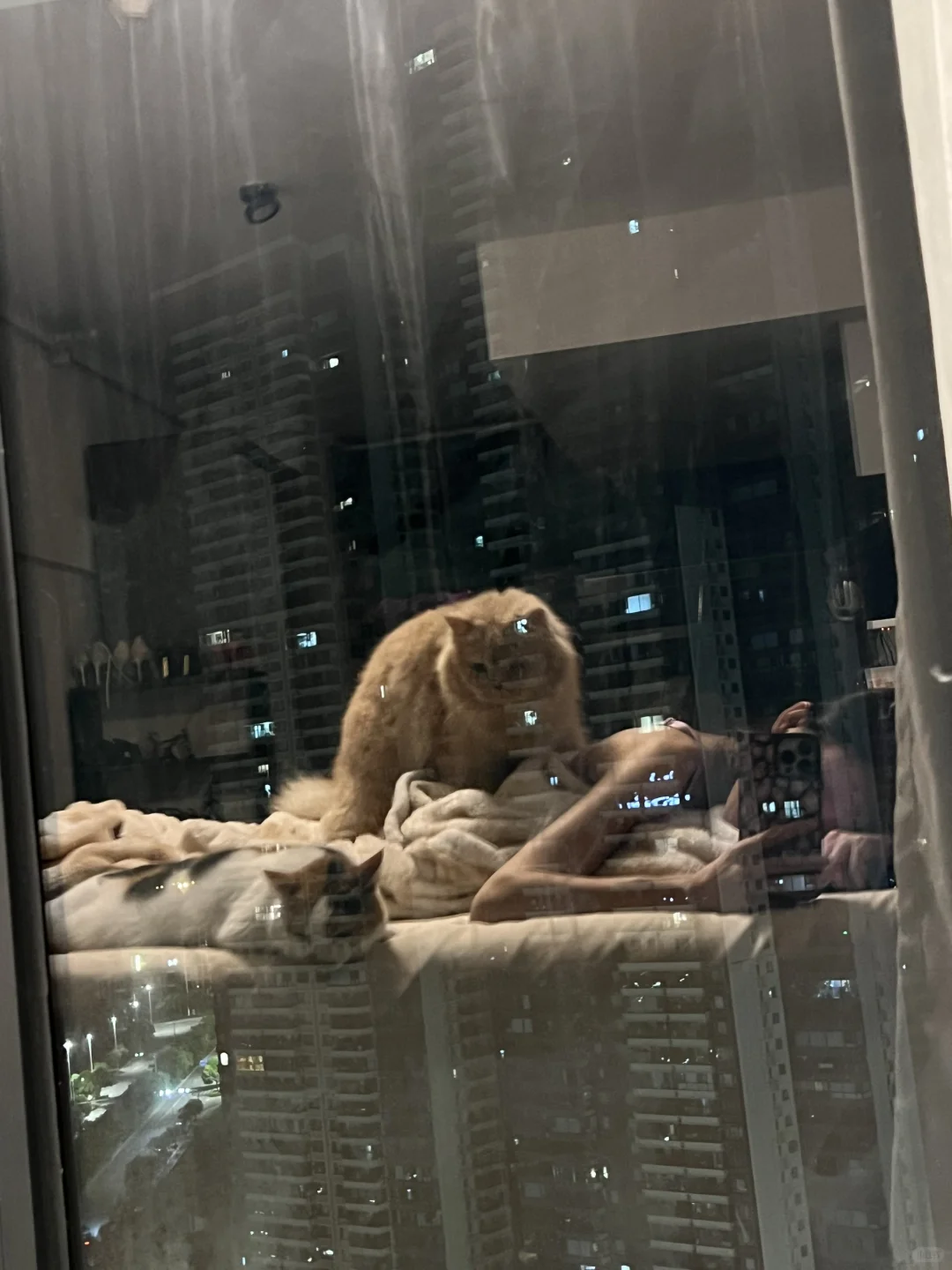 快成死宅了