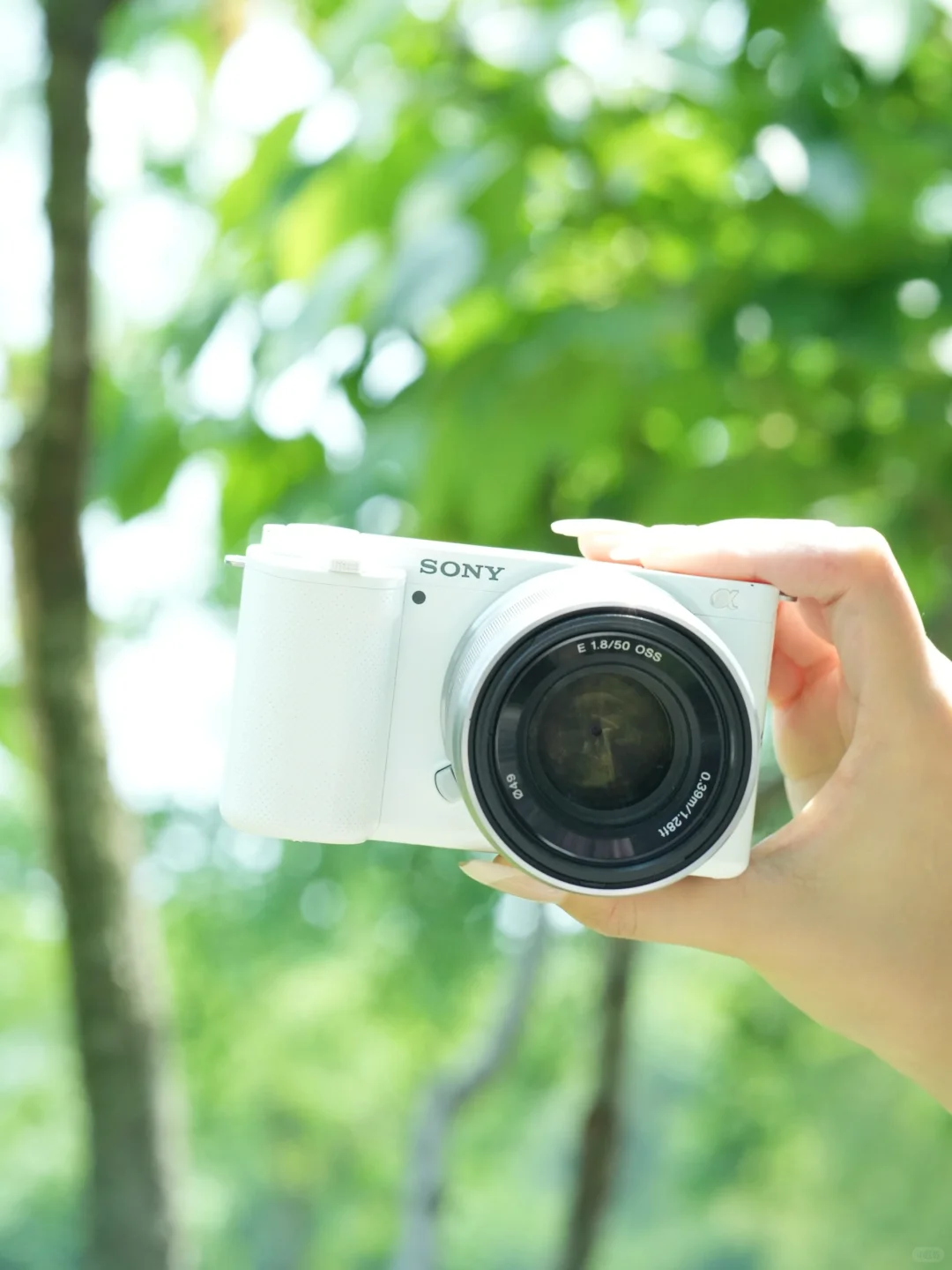 你是一种感觉 写在夏日晚风里｜zve10写真🍃