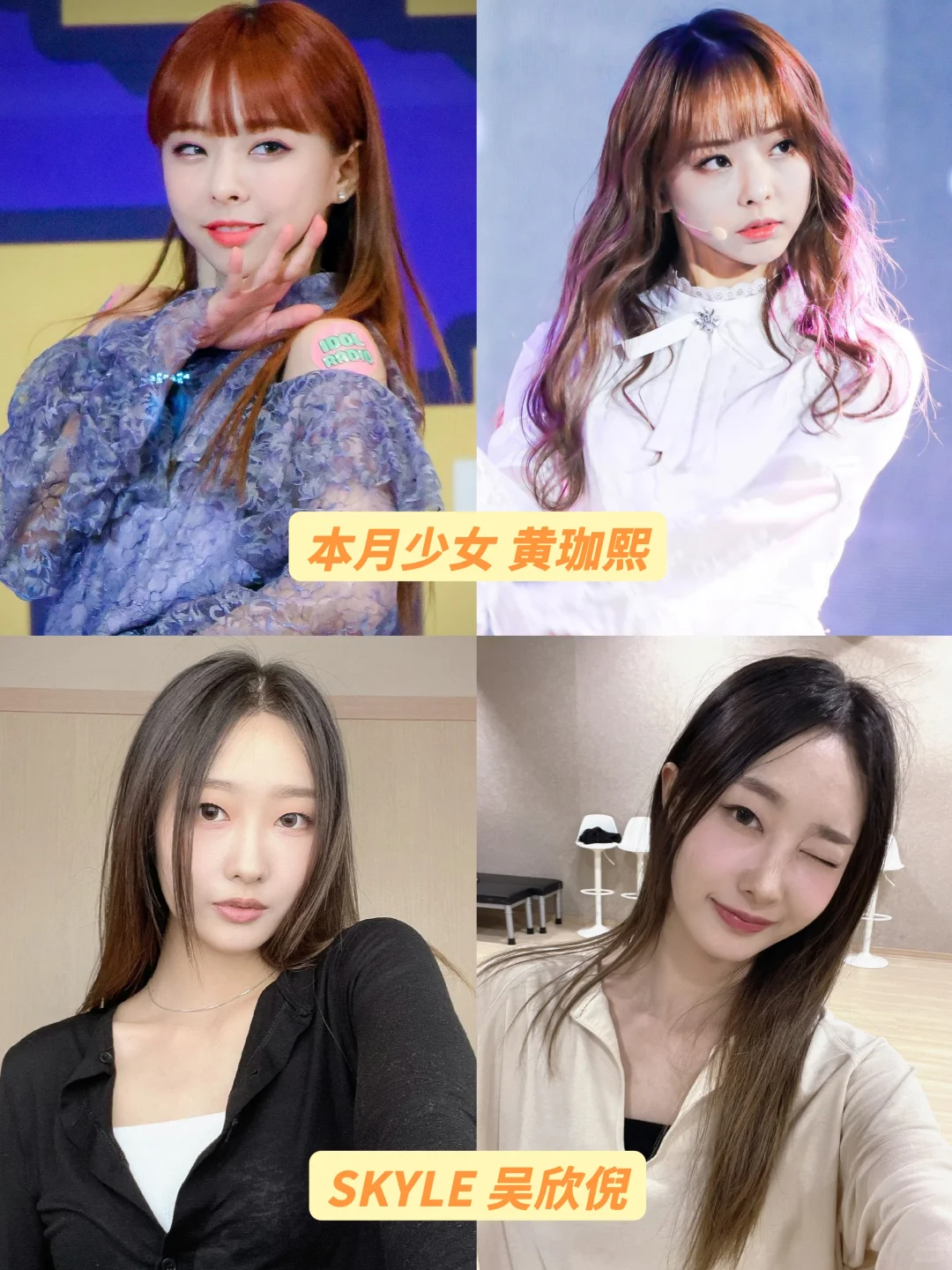 盘点kpop中国绿卡女爱豆