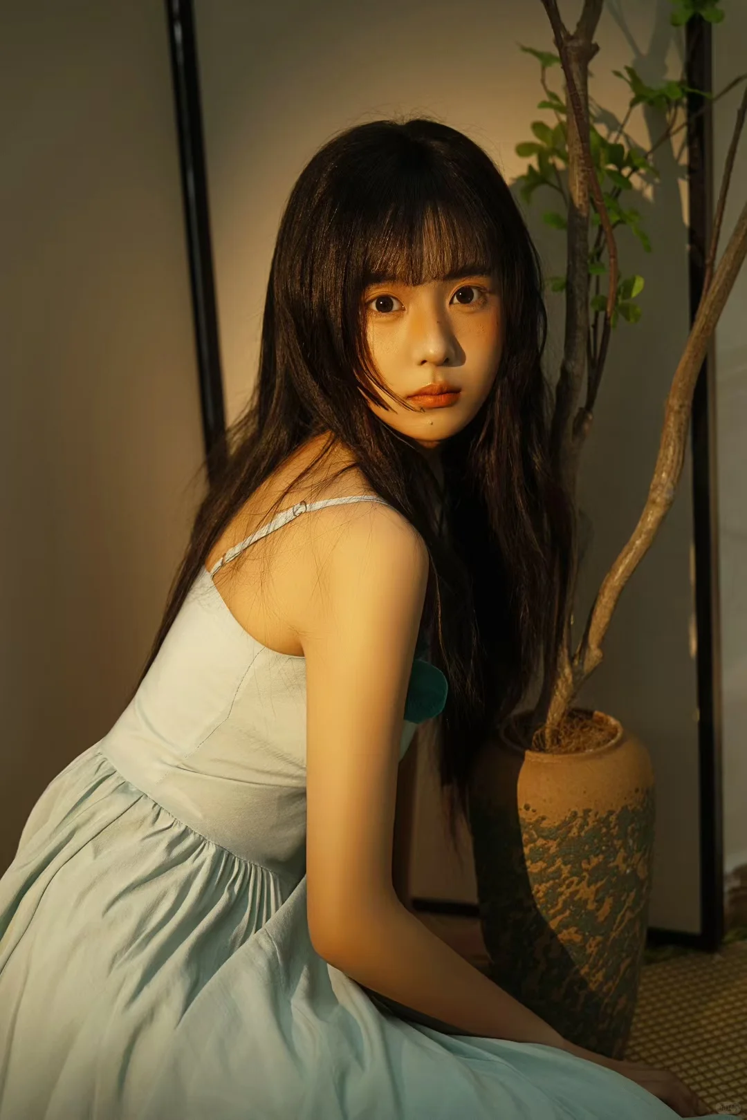 椿井写真｜是静谧的绿意，温柔的光🍃